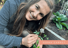 Load image into Gallery viewer, PERMA WHITE CARROTS - Skirret