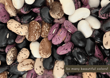 Load image into Gallery viewer, PERMA BEANS - Magic Runner Beans