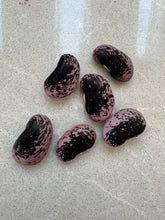 Load image into Gallery viewer, PERMA BEANS - Giant Shinshu Runners