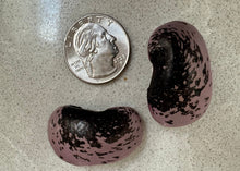 Load image into Gallery viewer, PERMA BEANS - Giant Shinshu Runners