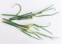 Load image into Gallery viewer, ZONE 4 PERMA STARTER PACK (VEGGIES)
