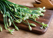 Load image into Gallery viewer, ZONE 9 PERMA STARTER PACK (VEGGIES)