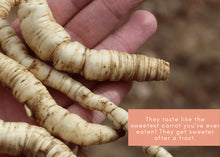 Load image into Gallery viewer, ZONE 8 PERMA STARTER PACK (VEGGIES)