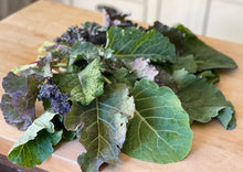 Load image into Gallery viewer, ZONE 9 PERMA STARTER PACK (VEGGIES)