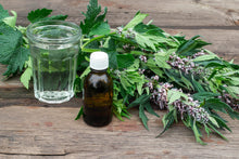 Load image into Gallery viewer, ZONE 3 PERMA STARTER PACK (HERBS)