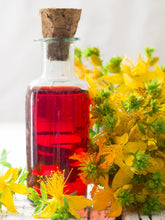 Load image into Gallery viewer, ZONE 10 PERMA STARTER PACK (HERBS)