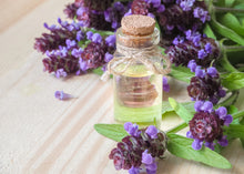 Load image into Gallery viewer, ZONE 10 PERMA STARTER PACK (HERBS)