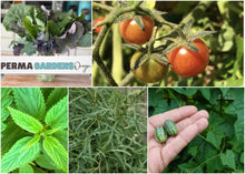 Load image into Gallery viewer, ZONE 10 PERMA STARTER PACK (VEGGIES)