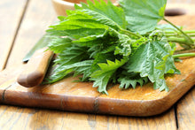 Load image into Gallery viewer, PERMA SPINACH - Less-Sting Nettles