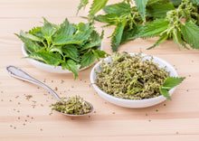 Load image into Gallery viewer, PERMA SPINACH - Less-Sting Nettles