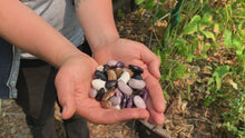Load and play video in Gallery viewer, PERMA BEANS - Magic Runner Beans