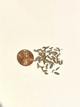 Load image into Gallery viewer, PERMA FENNEL - Carosella Perpetual