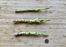 Load image into Gallery viewer, PERMA BROCCOLINI