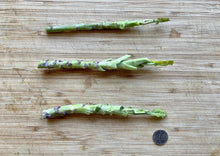 Load image into Gallery viewer, PERMA KALE - Lilac Lizard