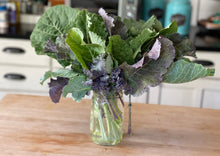 Load image into Gallery viewer, PERMA GREENS - Brassica Buffet