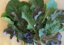 Load image into Gallery viewer, PERMA GREENS - Brassica Buffet