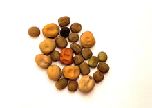Load image into Gallery viewer, PERMA SWEET PEA