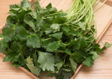Load image into Gallery viewer, PERMA PARSLEY - Mitsuba