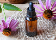 Load image into Gallery viewer, ESSENTIAL ECHINACEA