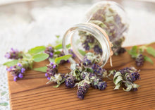 Load image into Gallery viewer, SENSATIONAL SELF-HEAL