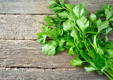 Load image into Gallery viewer, PERMA CELERY LEAF - White Queen