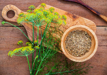 Load image into Gallery viewer, PERMA FENNEL - Carosella Perpetual