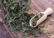 Load image into Gallery viewer, WONDERFULLY WILD STINGING NETTLE