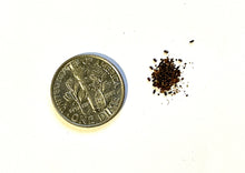 Load image into Gallery viewer, SOOTHING ST. JOHN'S WORT