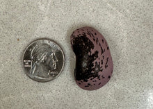 Load image into Gallery viewer, PERMA BEANS - Giant Shinshu Runners
