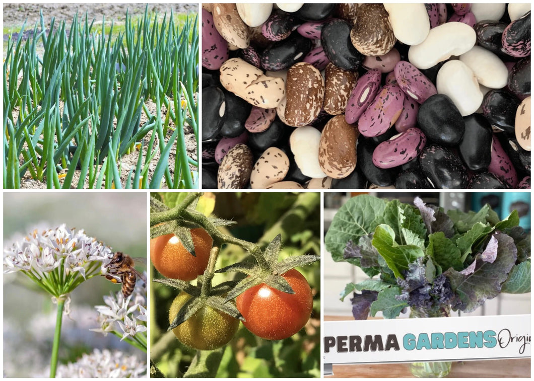 ZONE 9 PERMA STARTER PACK (VEGGIES)