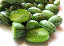 Load image into Gallery viewer, PERMA CUCUMBER - Cucamelon
