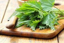 Load image into Gallery viewer, PERMA SPINACH - Less-Sting Nettles
