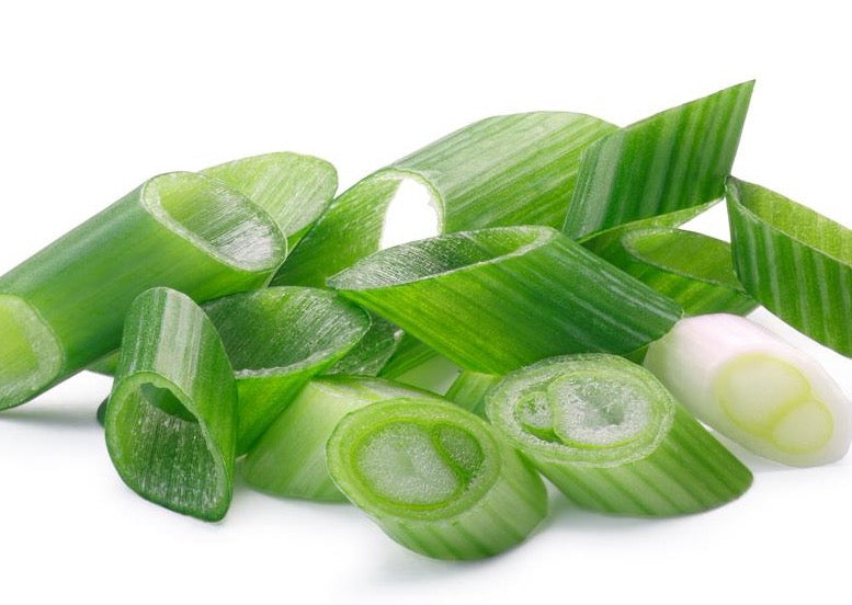 PERMA SCALLIONS